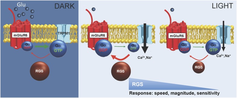 Figure 12.