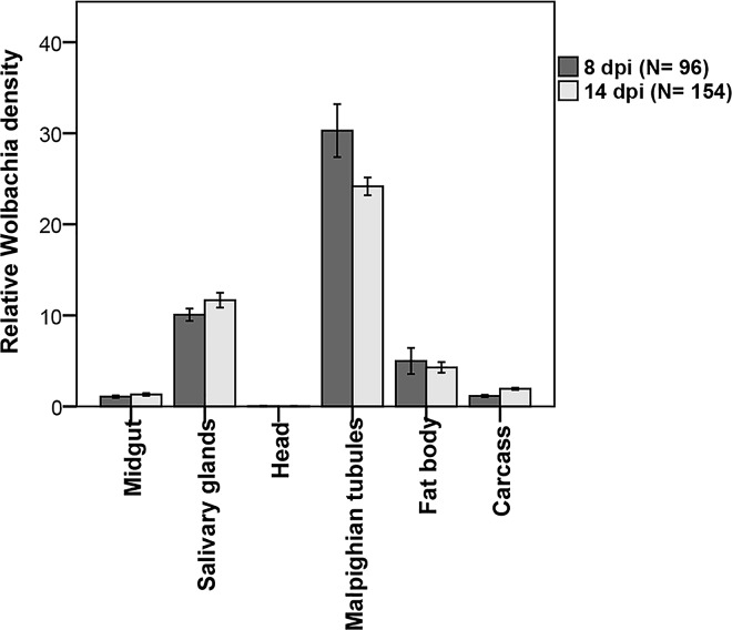 Fig 5