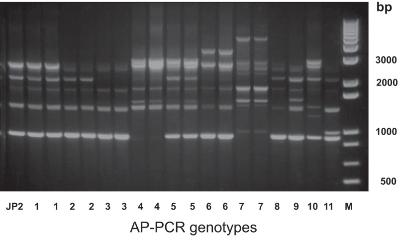 Figure 2.