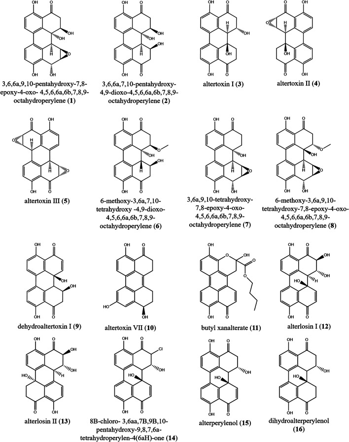 Fig. 5