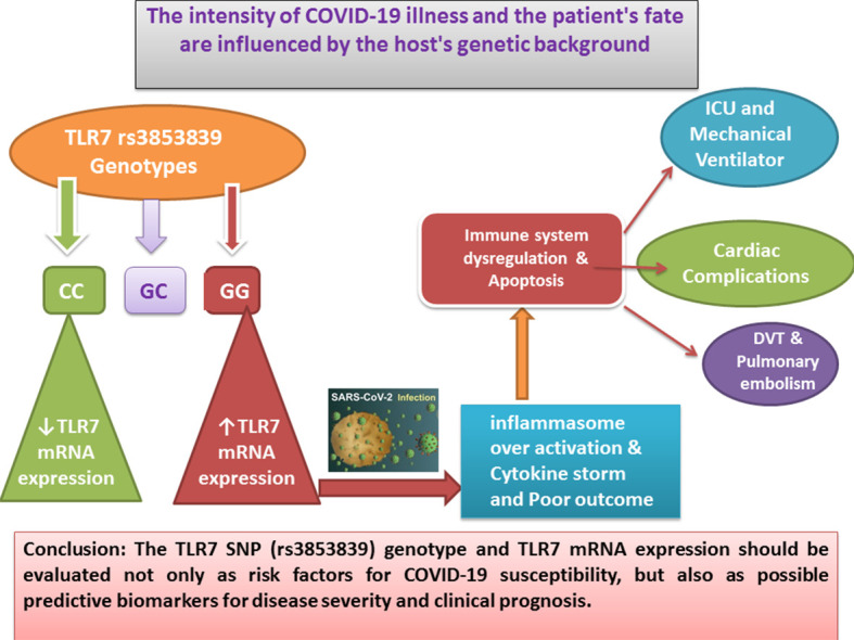 Unlabelled Image