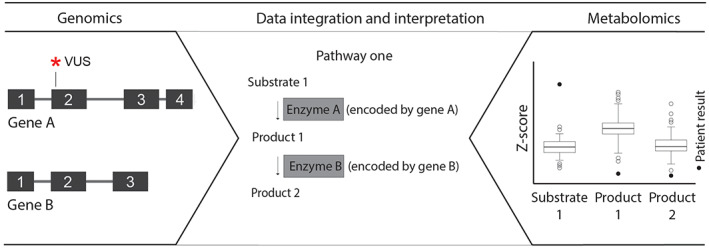 FIGURE 3