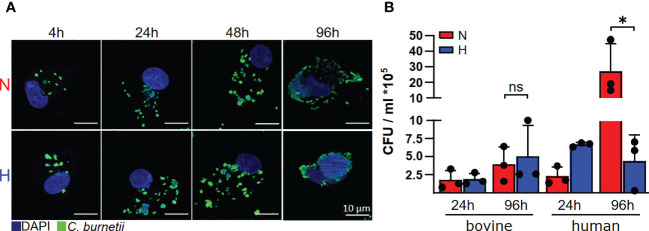 Figure 3