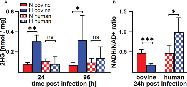 Figure 7