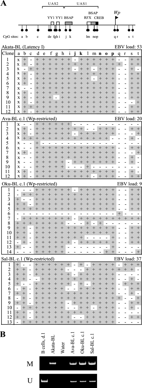 FIG. 8.