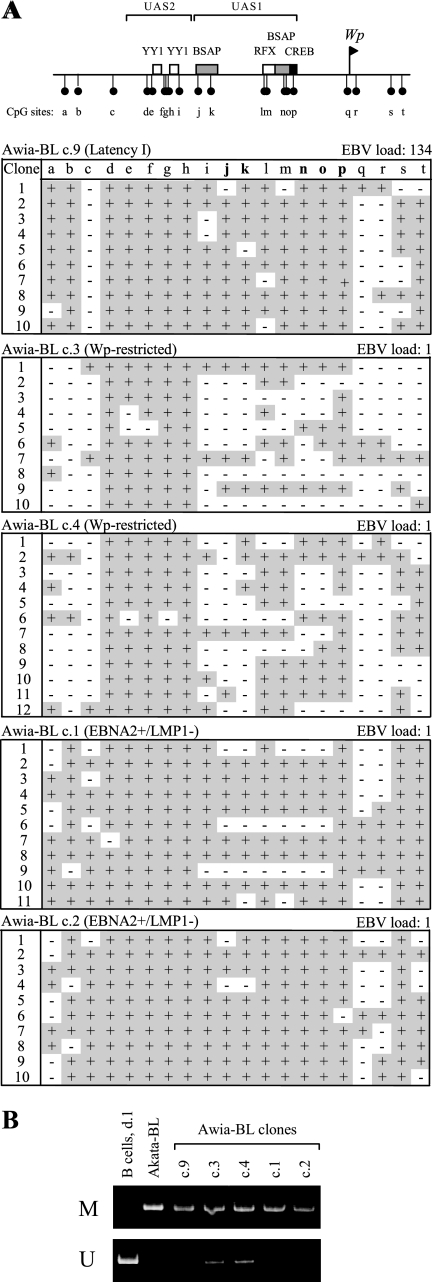 FIG. 9.