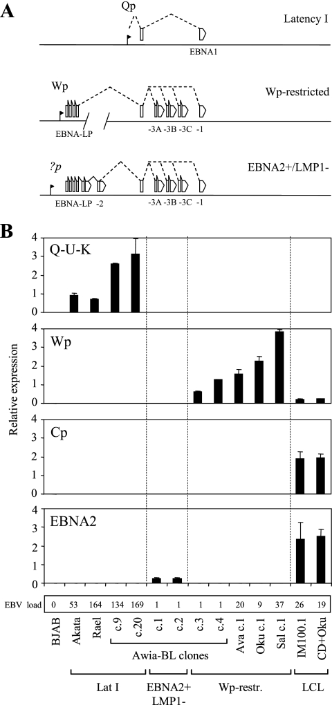 FIG. 7.