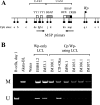 FIG. 4.