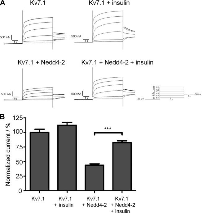 FIGURE 11.