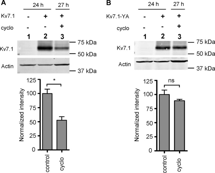 FIGURE 10.