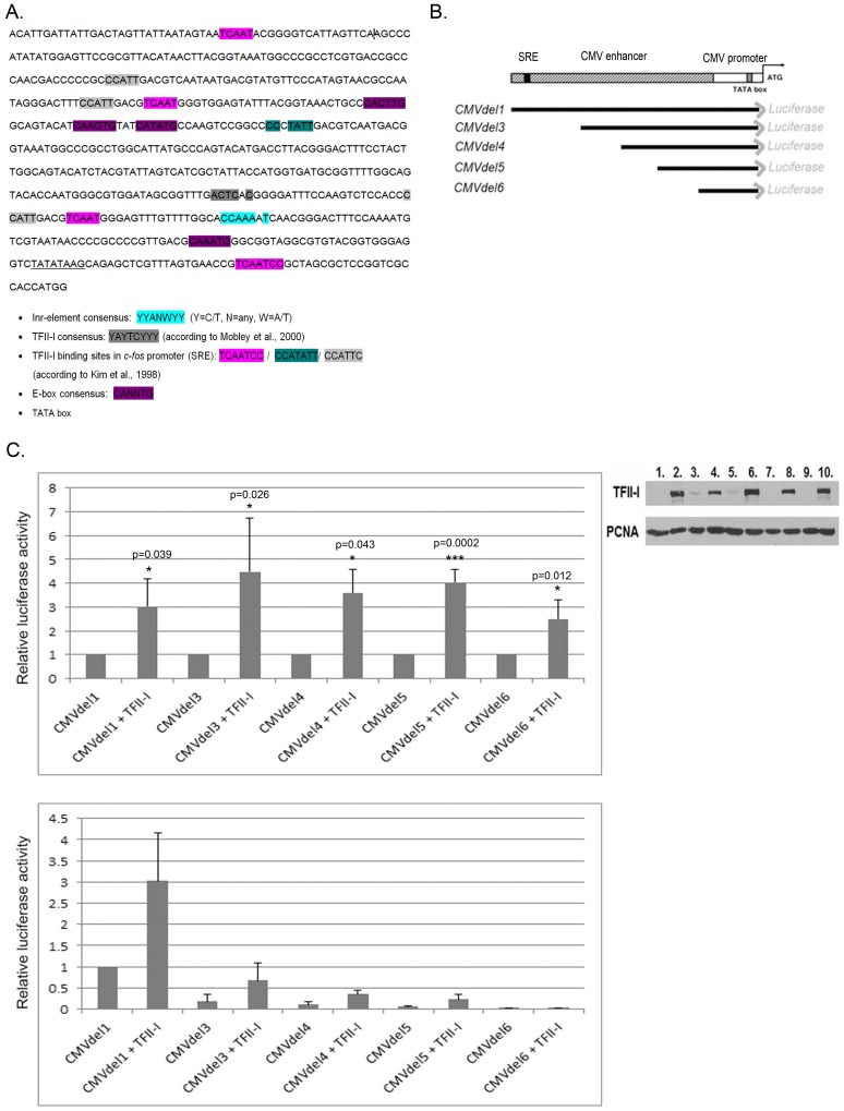 Fig 4