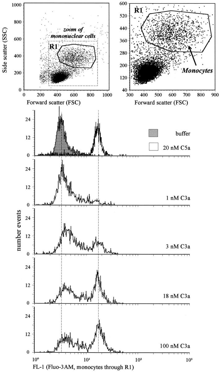 The Human C3a Receptor Is Expressed on Neutrophils and Monocytes, but ...