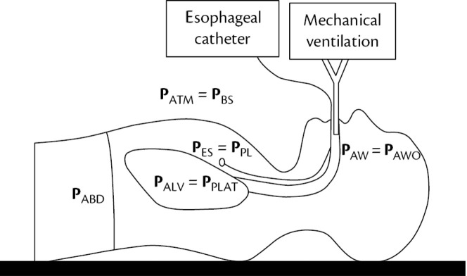 Fig. 6