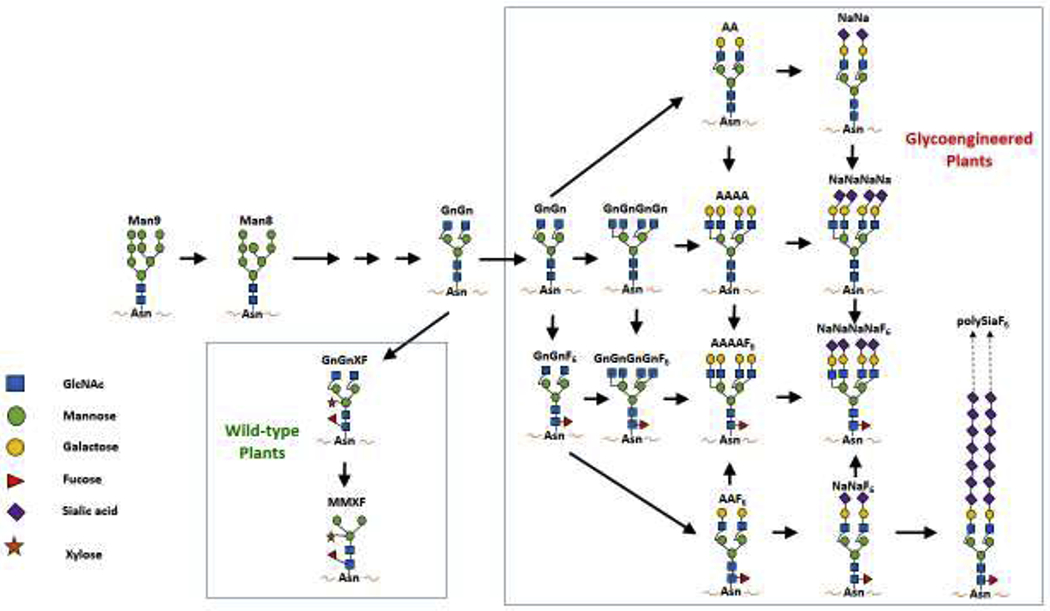 Figure. 1.