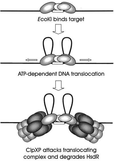 FIG. 8