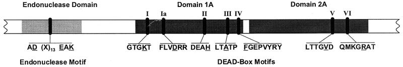 FIG. 5