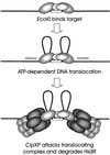 FIG. 8