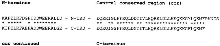 FIG. 10