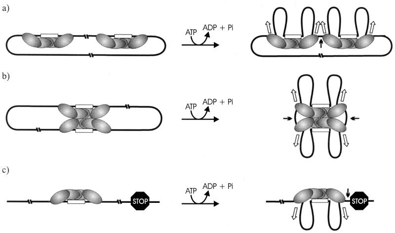 FIG. 6