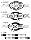 FIG. 3