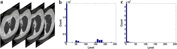 Fig. 8