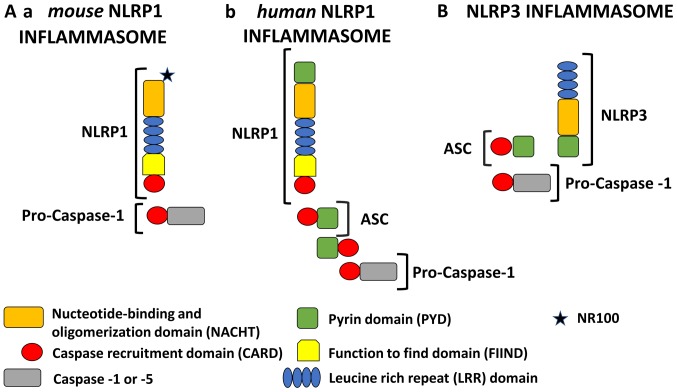 Figure 1.