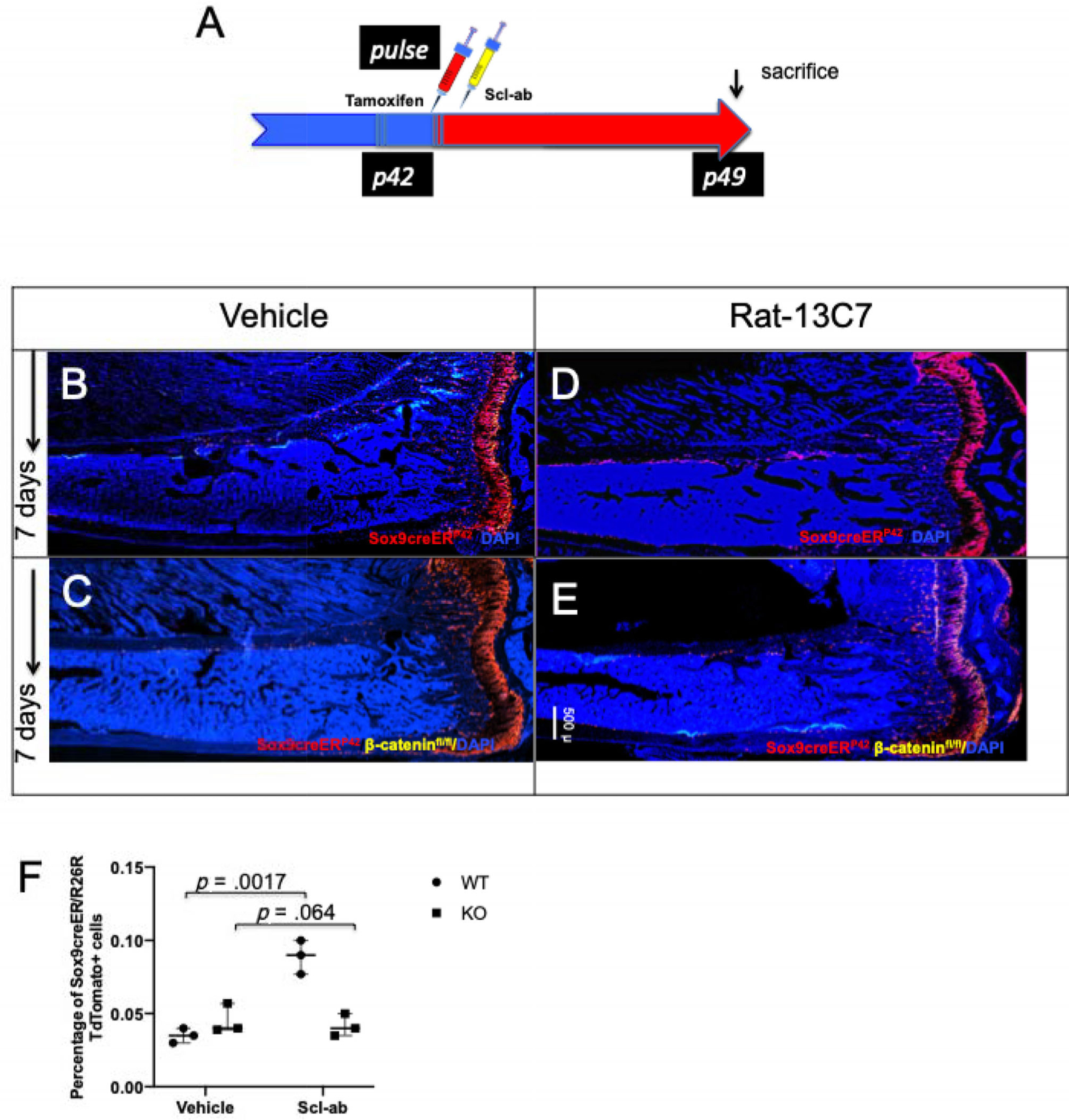 Fig 4.