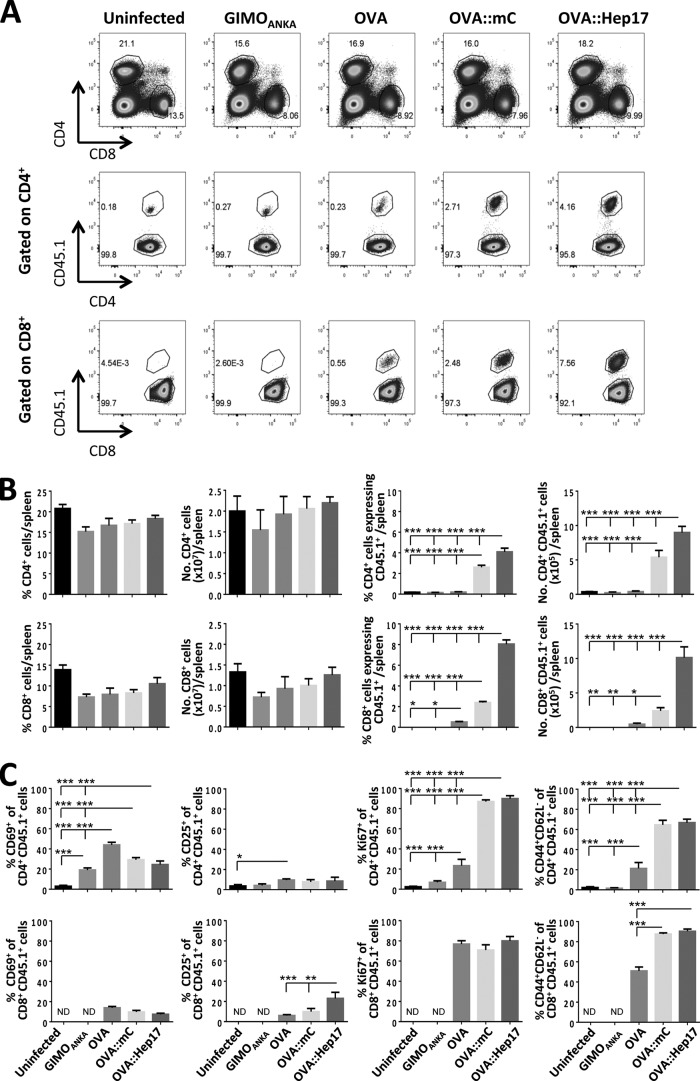 FIG 3