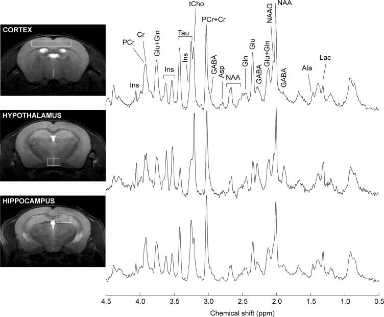 FIGURE 3