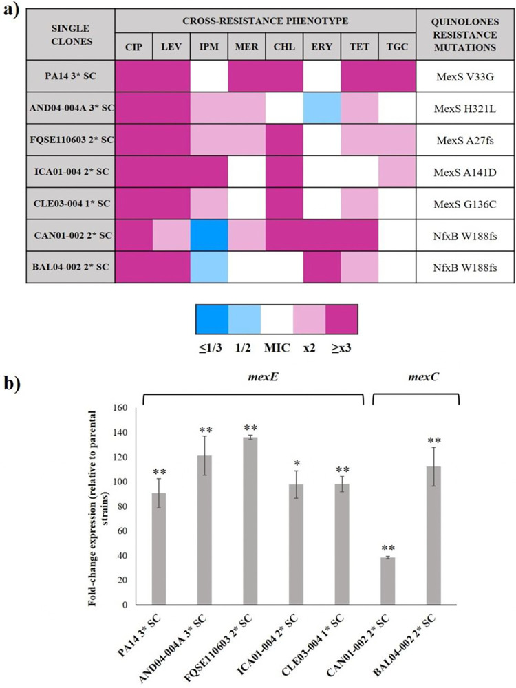 FIG 3