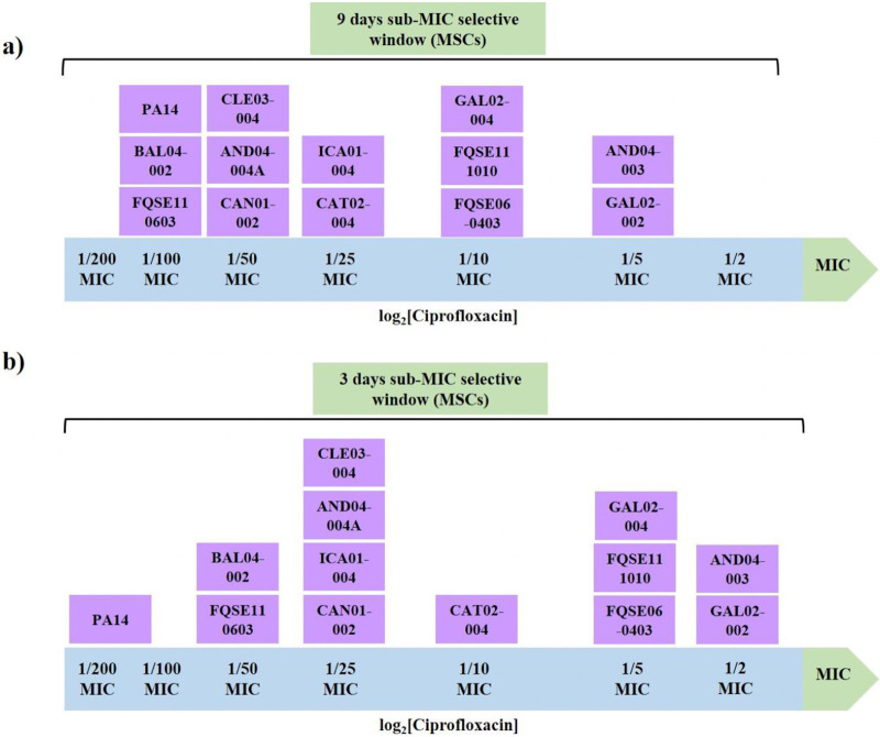 FIG 1