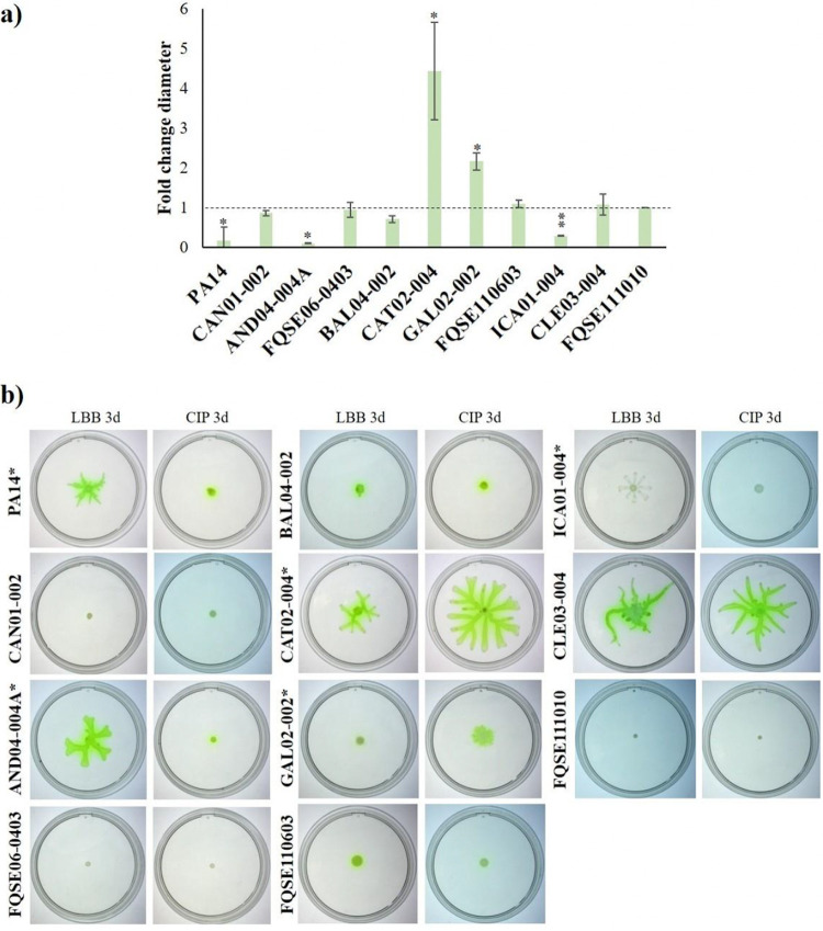 FIG 6