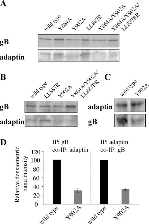 FIG. 4.