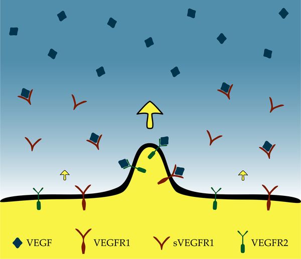 Fig. 1: