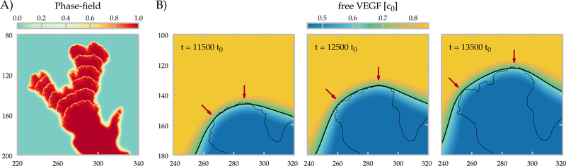 Fig. 6: