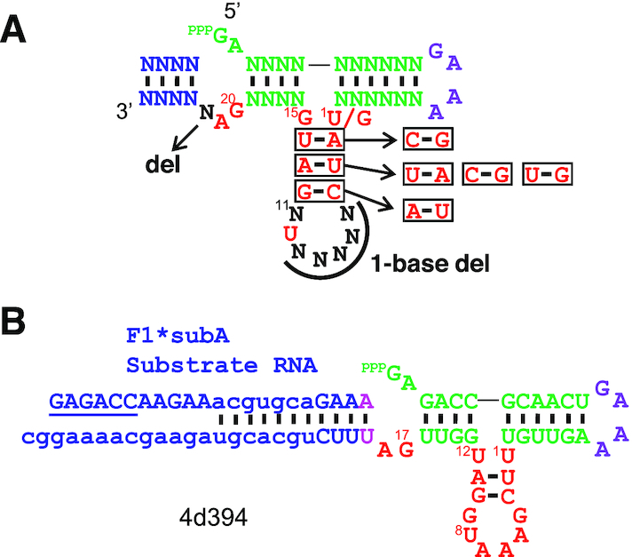 Figure 7.