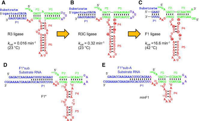 Figure 1.