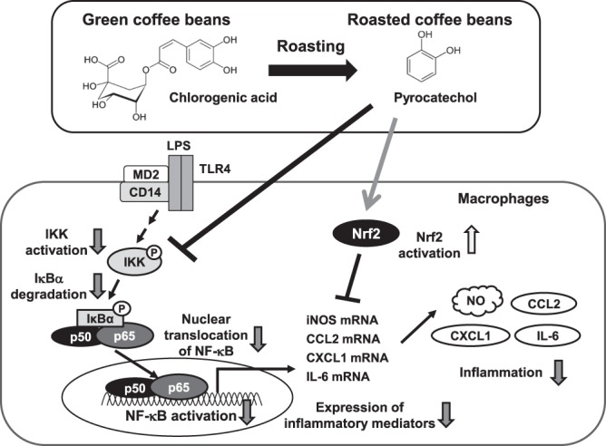 Figure 15