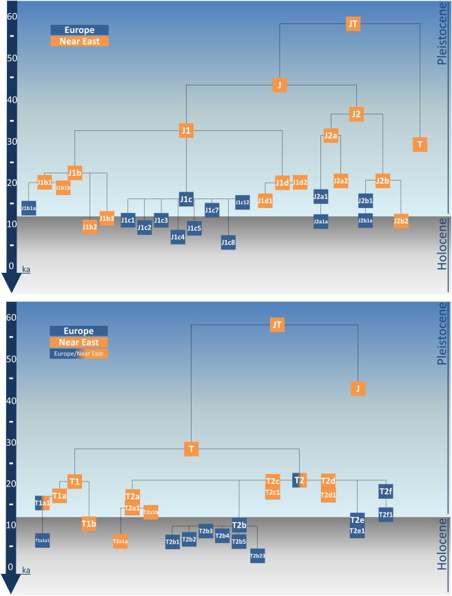 Figure 1