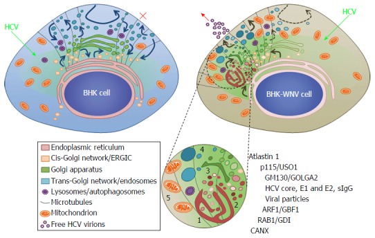 Figure 14