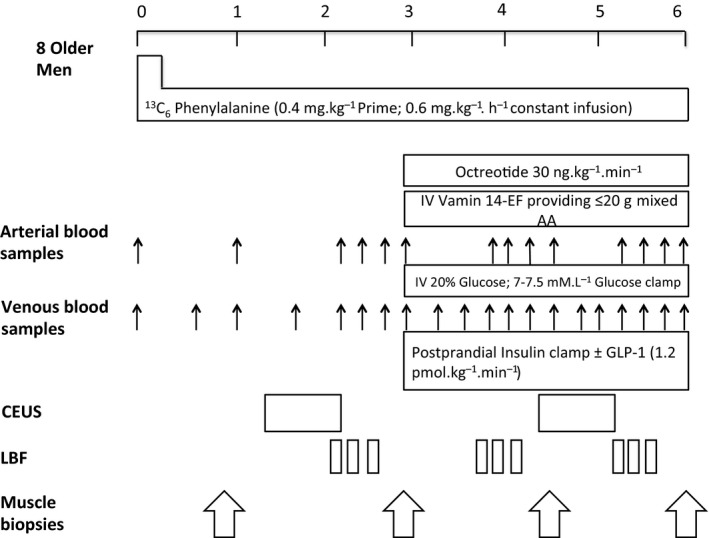 FIGURE 3