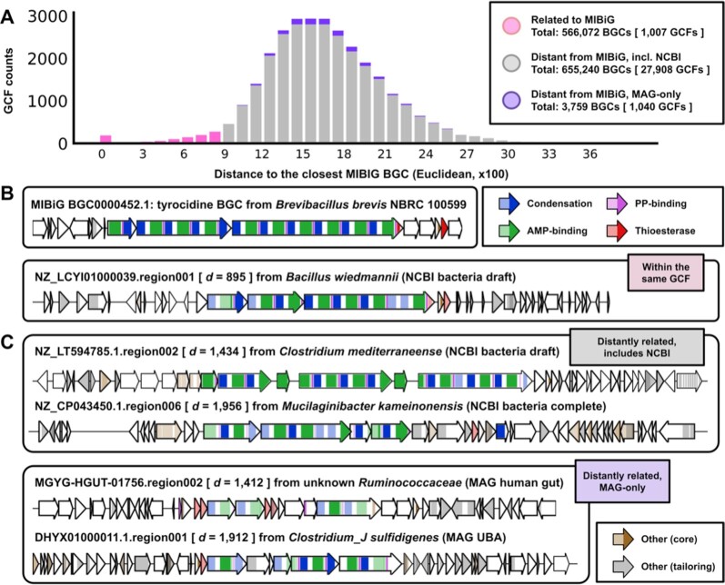 Figure 7: