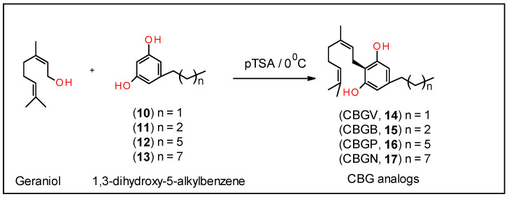 Scheme 2