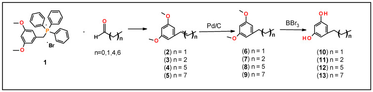 Scheme 1