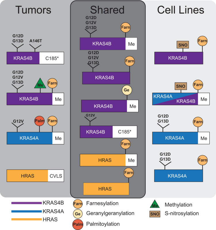 Figure 6