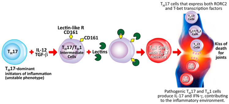 Figure 17