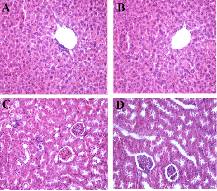 Figure 13