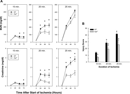 Fig. 11.