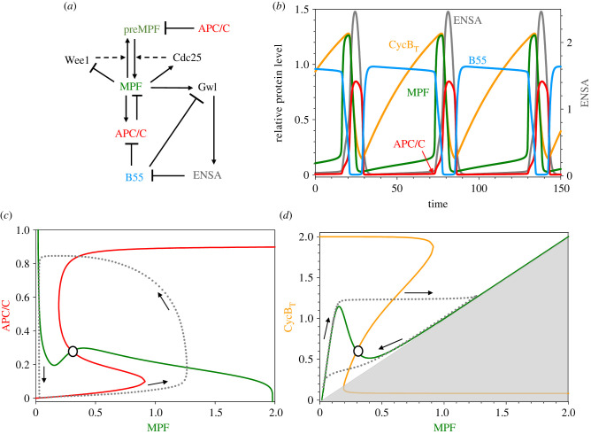 Figure 5. 