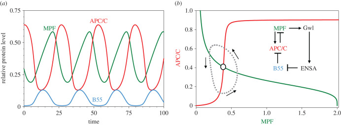 Figure 3. 